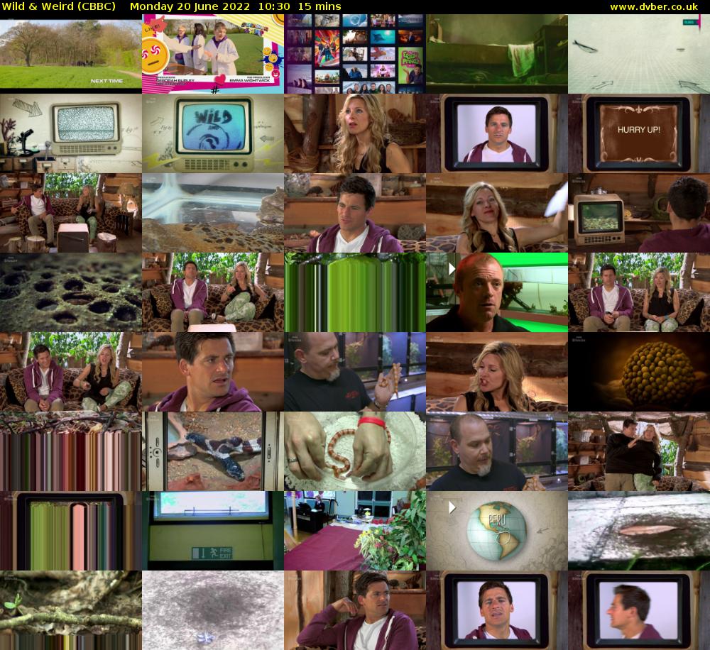 Wild & Weird (CBBC) Monday 20 June 2022 10:30 - 10:45