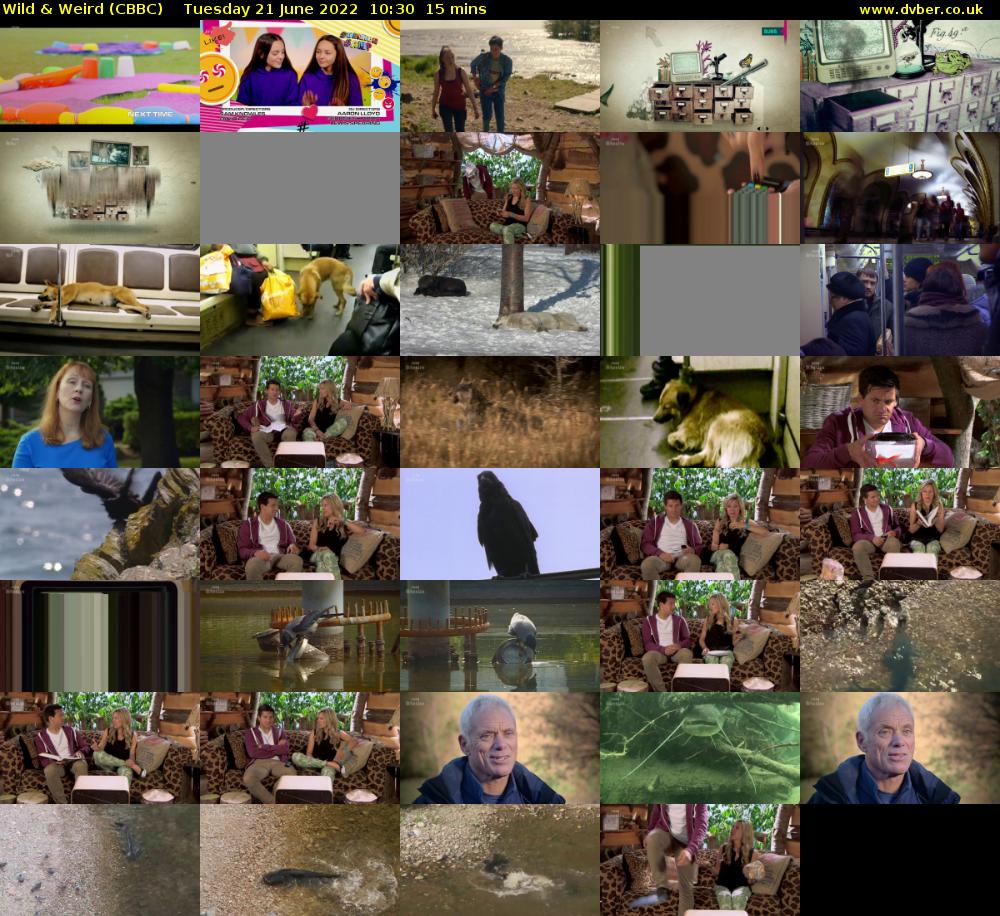 Wild & Weird (CBBC) Tuesday 21 June 2022 10:30 - 10:45