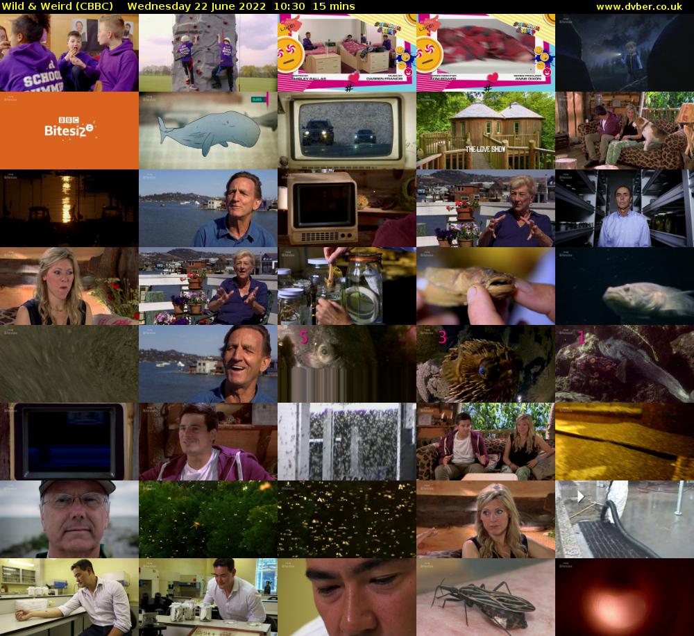 Wild & Weird (CBBC) Wednesday 22 June 2022 10:30 - 10:45