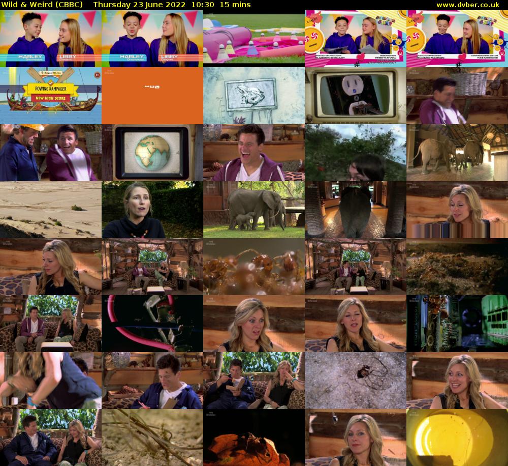 Wild & Weird (CBBC) Thursday 23 June 2022 10:30 - 10:45