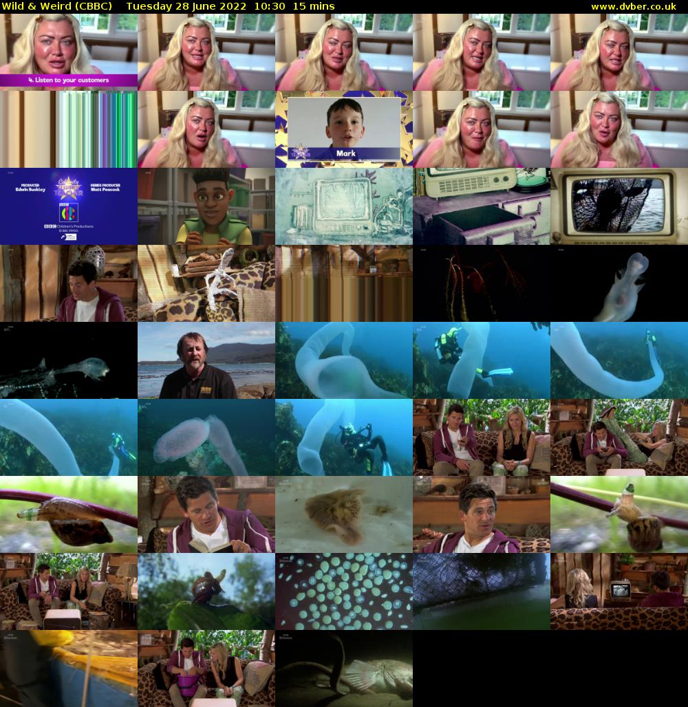 Wild & Weird (CBBC) Tuesday 28 June 2022 10:30 - 10:45