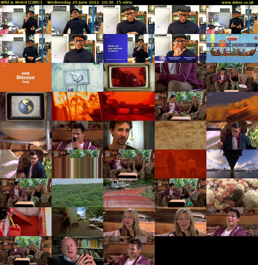 Wild & Weird (CBBC) Wednesday 29 June 2022 10:30 - 10:45