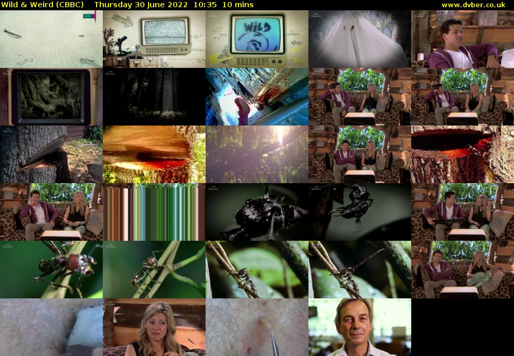 Wild & Weird (CBBC) Thursday 30 June 2022 10:35 - 10:45