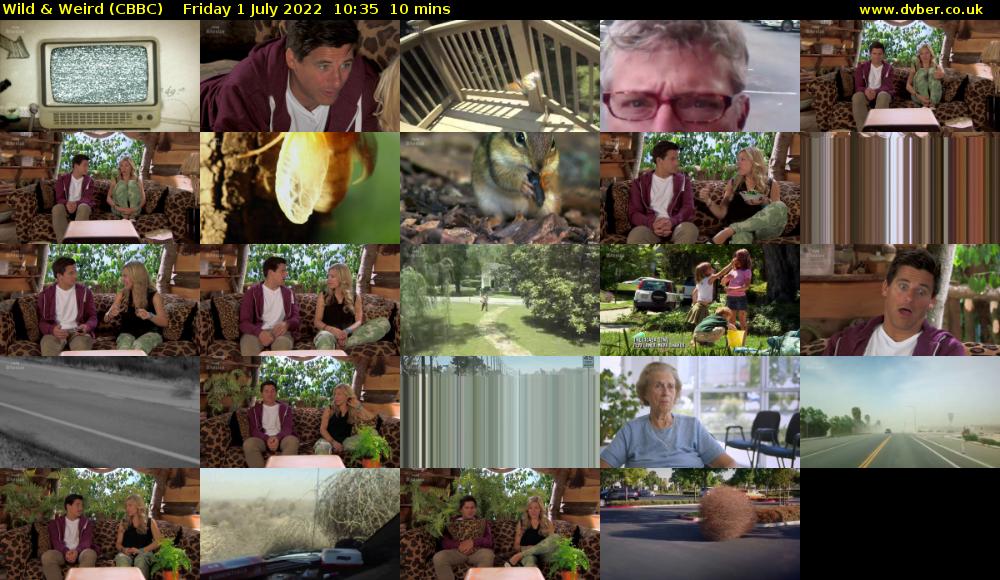 Wild & Weird (CBBC) Friday 1 July 2022 10:35 - 10:45