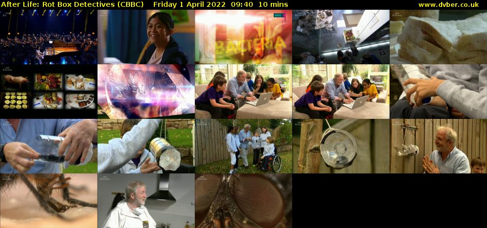 After Life: Rot Box Detectives (CBBC) Friday 1 April 2022 09:40 - 09:50