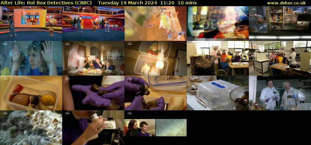 After Life: Rot Box Detectives (CBBC) Tuesday 19 March 2024 11:20 - 11:30