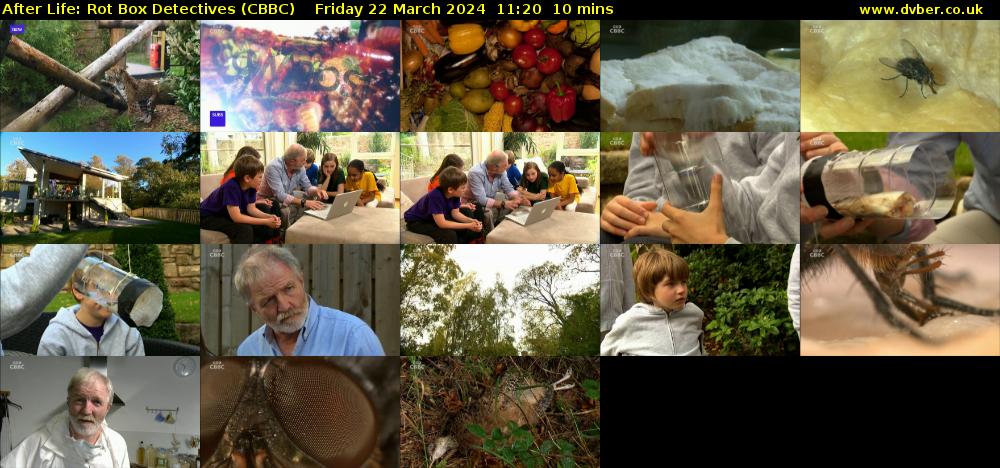 After Life: Rot Box Detectives (CBBC) Friday 22 March 2024 11:20 - 11:30