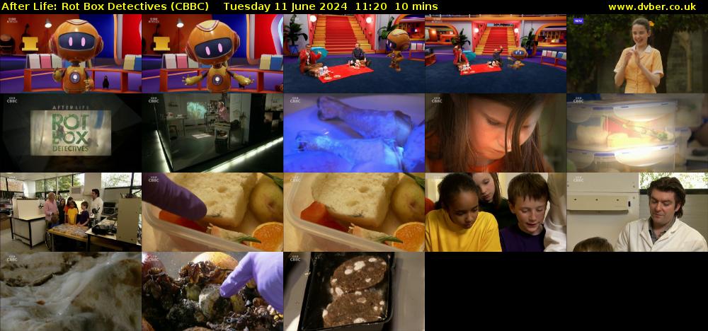 After Life: Rot Box Detectives (CBBC) Tuesday 11 June 2024 11:20 - 11:30
