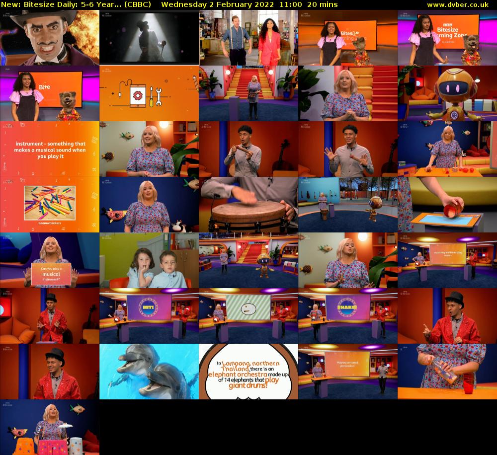 Bitesize Daily: 5-6 Year... (CBBC) Wednesday 2 February 2022 11:00 - 11:20