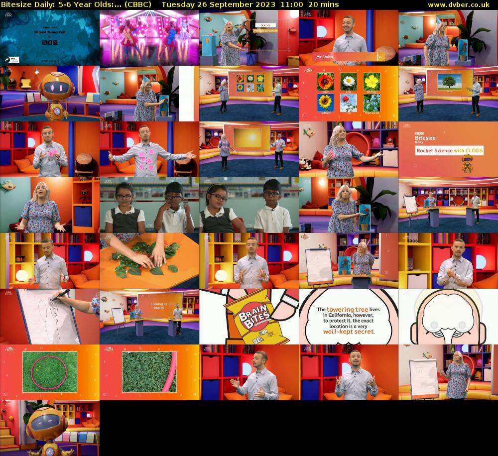 Bitesize Daily: 5-6 Year Olds:... (CBBC) Tuesday 26 September 2023 11:00 - 11:20