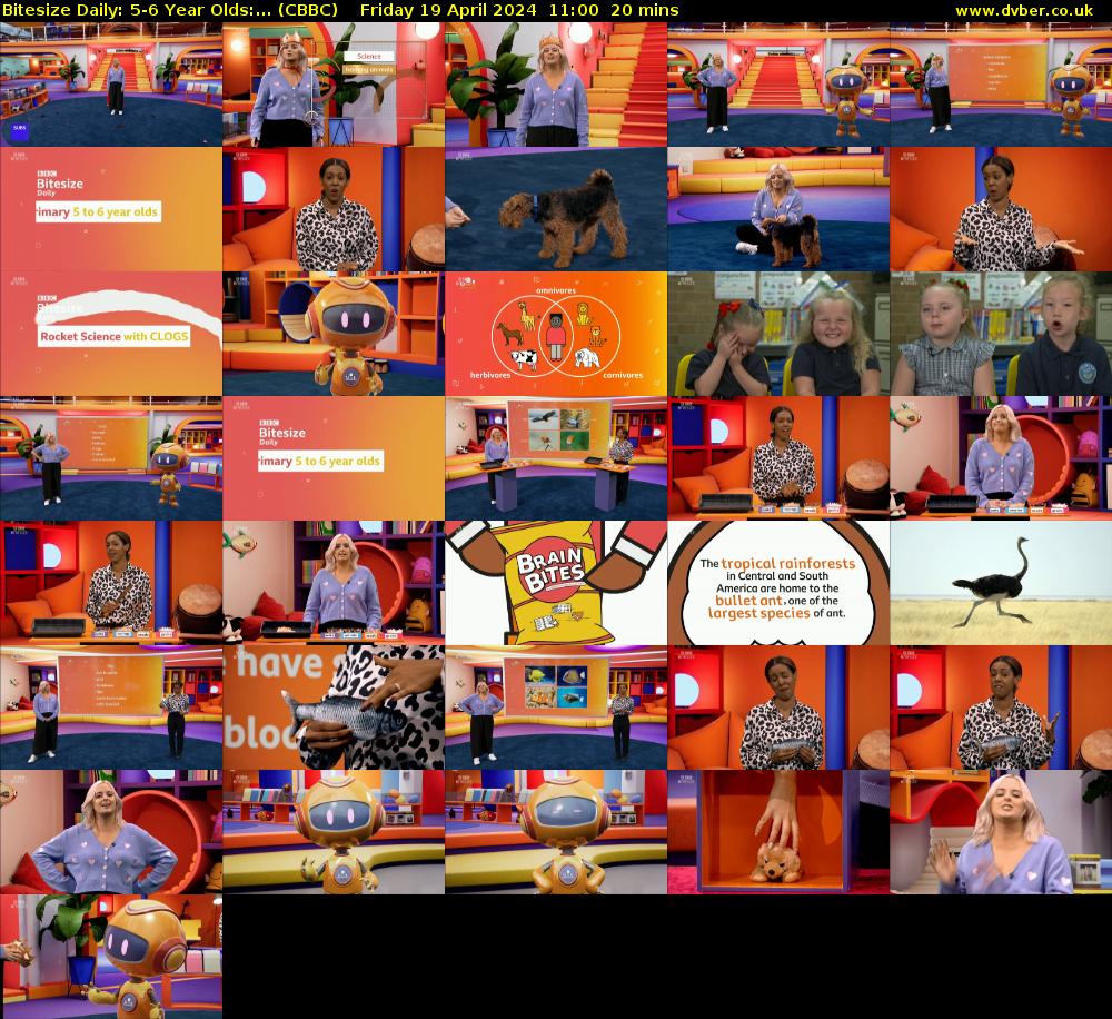 Bitesize Daily: 5-6 Year Olds:... (CBBC) Friday 19 April 2024 11:00 - 11:20