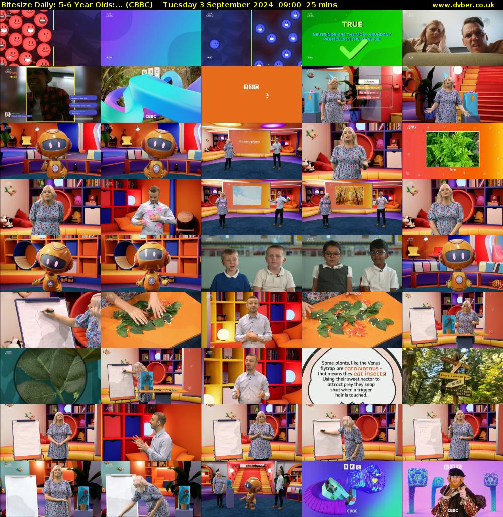 Bitesize Daily: 5-6 Year Olds:... (CBBC) Tuesday 3 September 2024 09:00 - 09:25