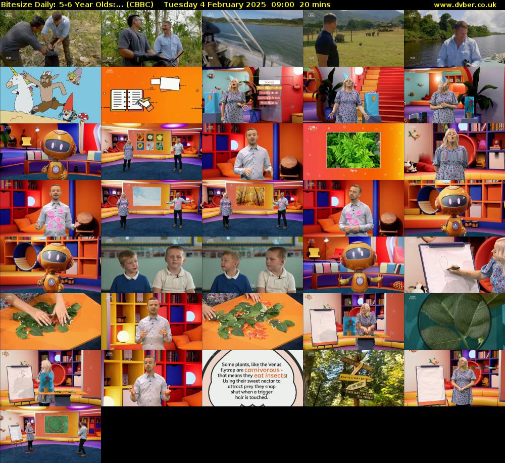 Bitesize Daily: 5-6 Year Olds:... (CBBC) Tuesday 4 February 2025 09:00 - 09:20