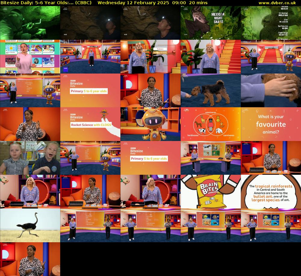 Bitesize Daily: 5-6 Year Olds:... (CBBC) Wednesday 12 February 2025 09:00 - 09:20