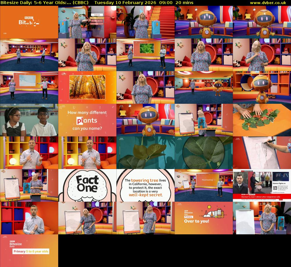 Bitesize Daily: 5-6 Year Olds:... (CBBC) Tuesday 10 February 2026 09:00 - 09:20