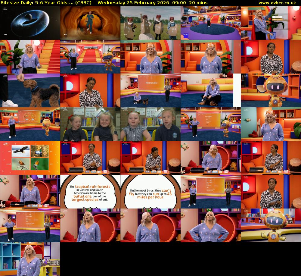 Bitesize Daily: 5-6 Year Olds:... (CBBC) Wednesday 25 February 2026 09:00 - 09:20
