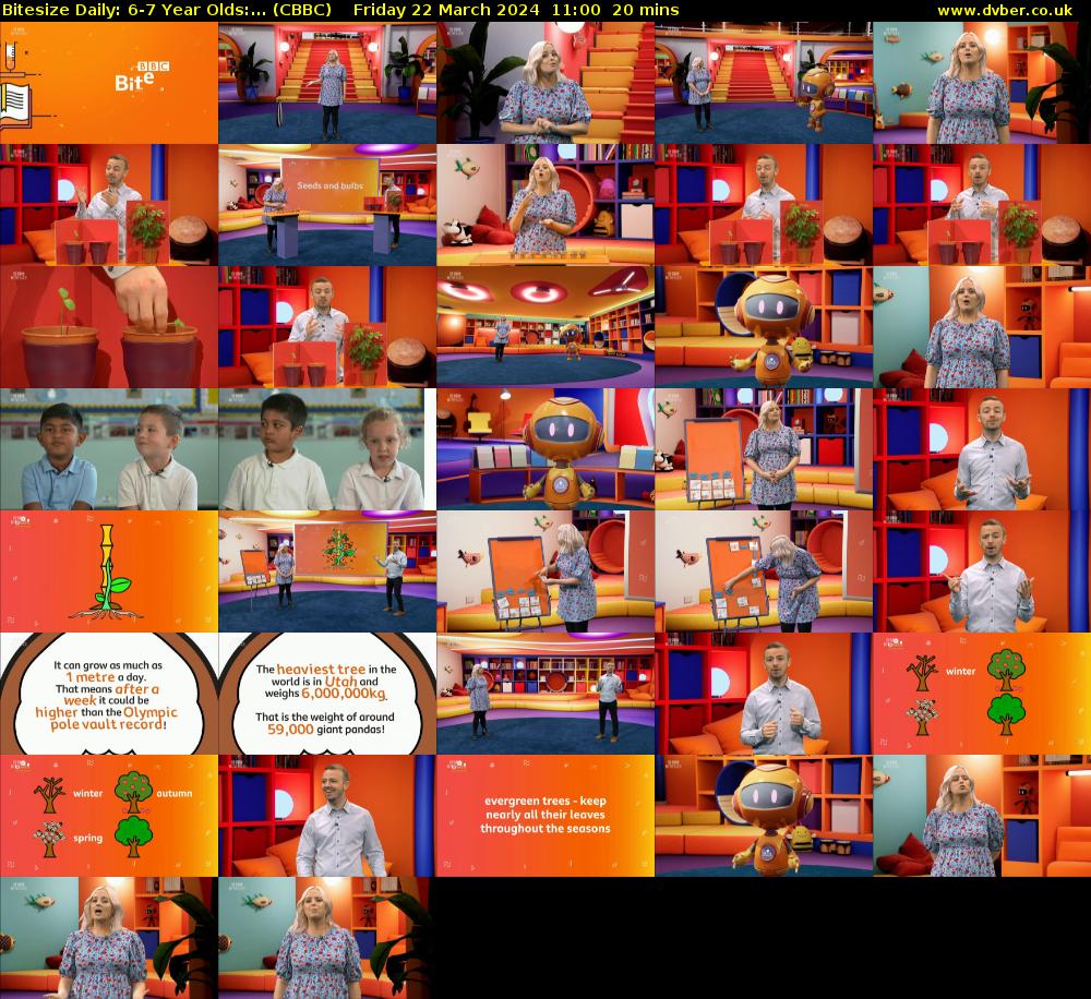 Bitesize Daily: 6-7 Year Olds:... (CBBC) Friday 22 March 2024 11:00 - 11:20