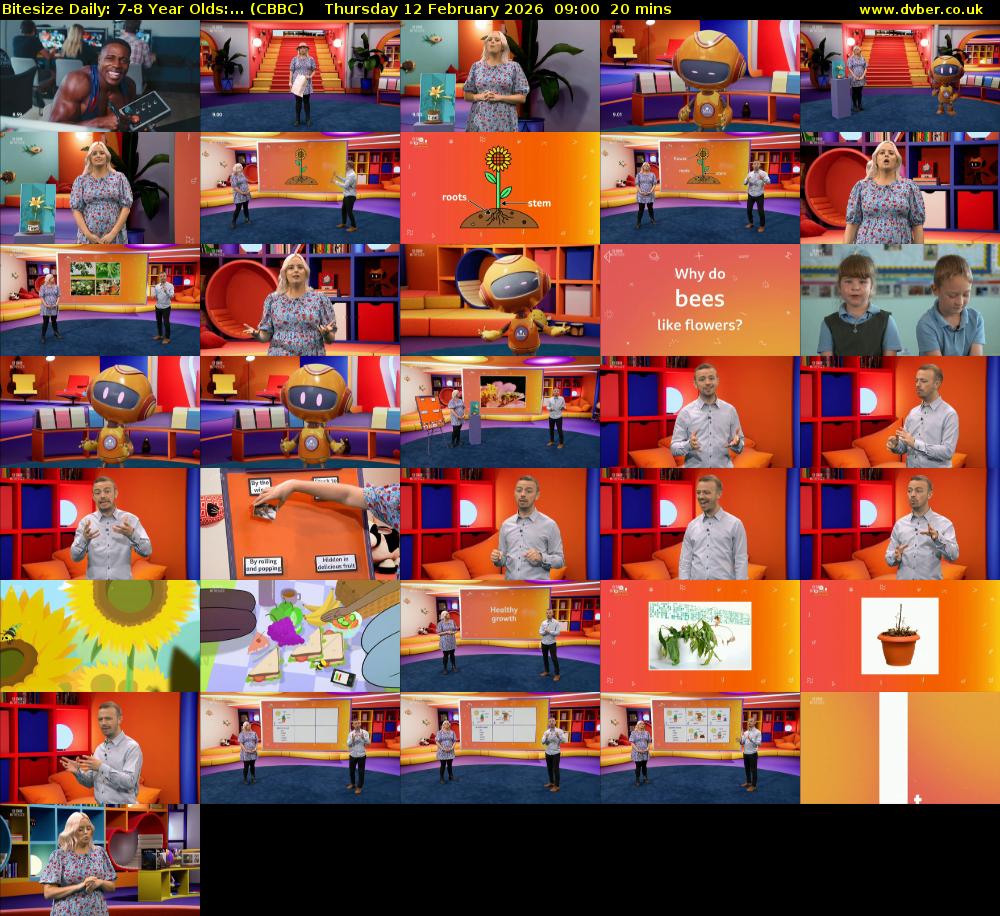 Bitesize Daily: 7-8 Year Olds:... (CBBC) Thursday 12 February 2026 09:00 - 09:20
