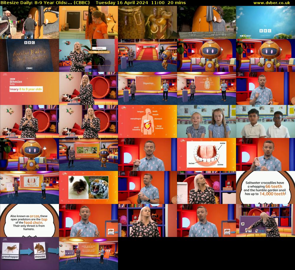 Bitesize Daily: 8-9 Year Olds:... (CBBC) Tuesday 16 April 2024 11:00 - 11:20