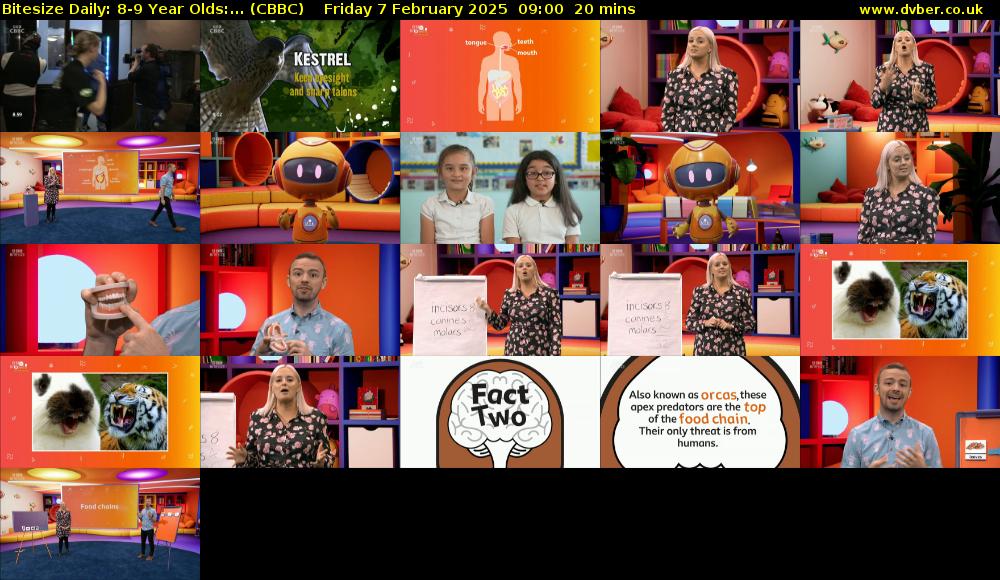 Bitesize Daily: 8-9 Year Olds:... (CBBC) Friday 7 February 2025 09:00 - 09:20