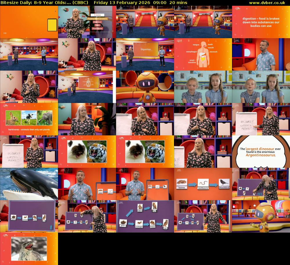 Bitesize Daily: 8-9 Year Olds:... (CBBC) Friday 13 February 2026 09:00 - 09:20