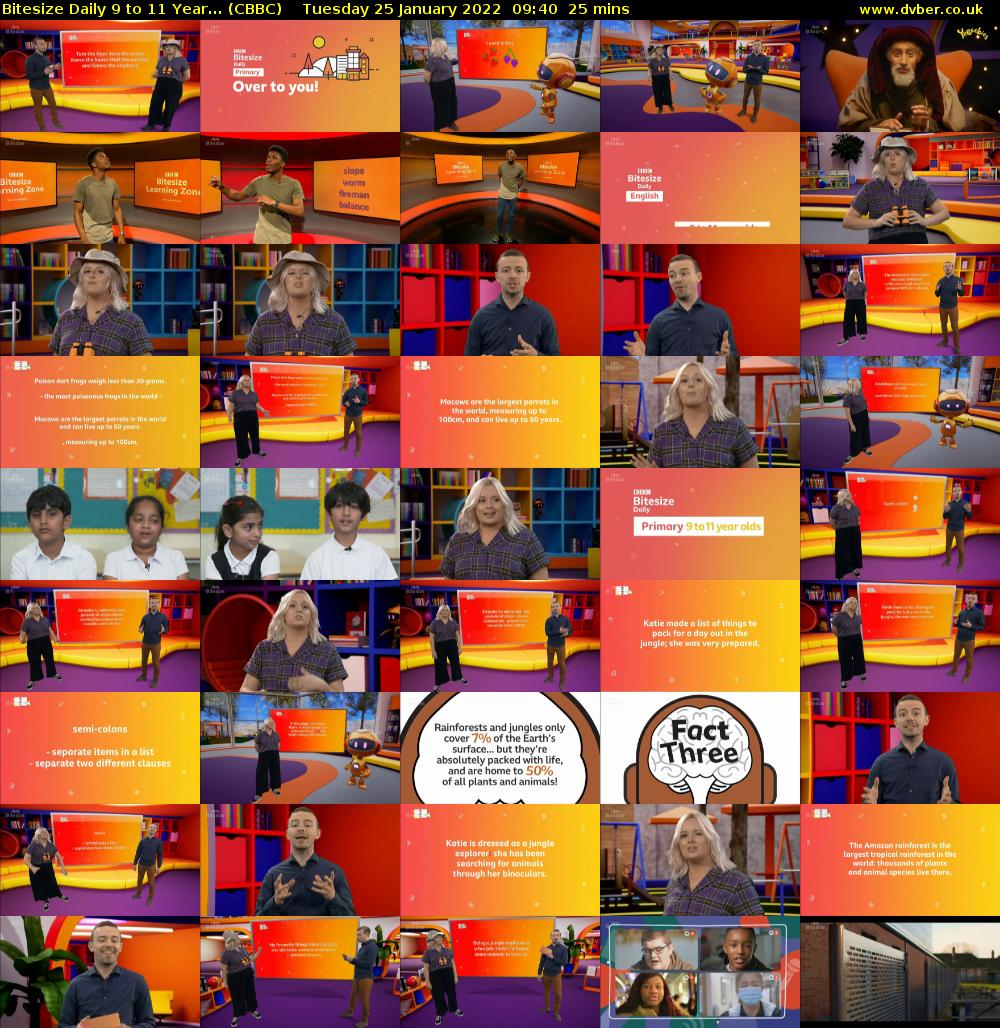 Bitesize Daily 9 to 11 year... (CBBC) Tuesday 25 January 2022 09:40 - 10:05