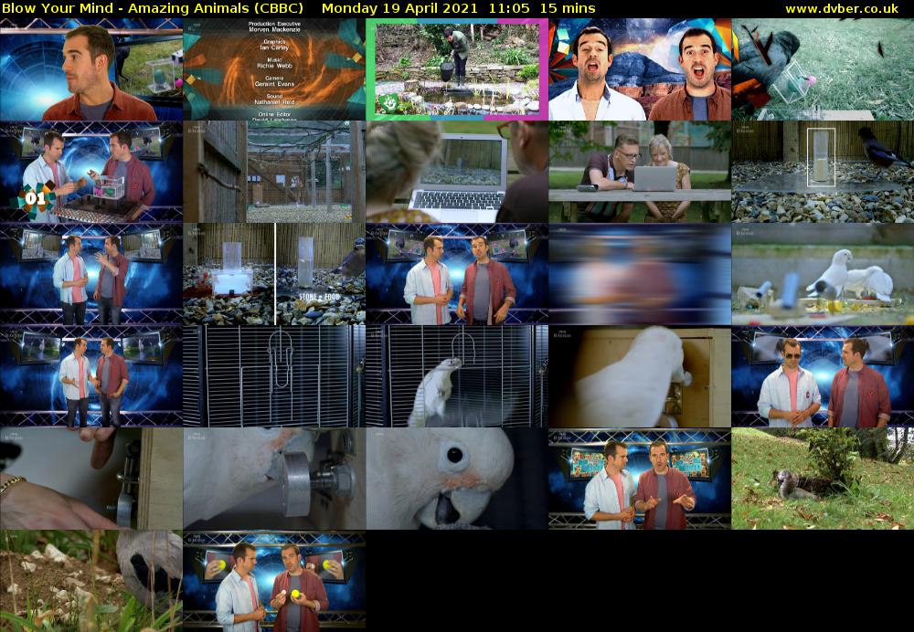 Blow Your Mind - Amazing Animals (CBBC) Monday 19 April 2021 11:05 - 11:20