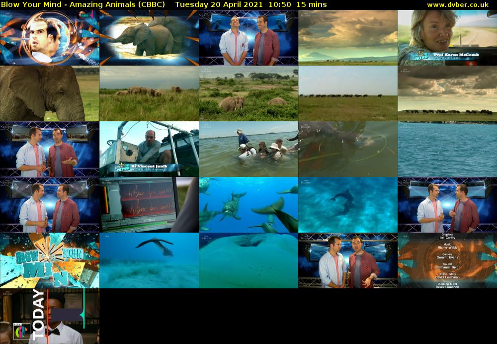 Blow Your Mind - Amazing Animals (CBBC) Tuesday 20 April 2021 10:50 - 11:05