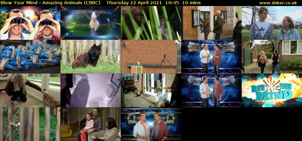 Blow Your Mind - Amazing Animals (CBBC) Thursday 22 April 2021 10:45 - 10:55