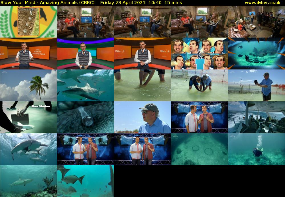 Blow Your Mind - Amazing Animals (CBBC) Friday 23 April 2021 10:40 - 10:55