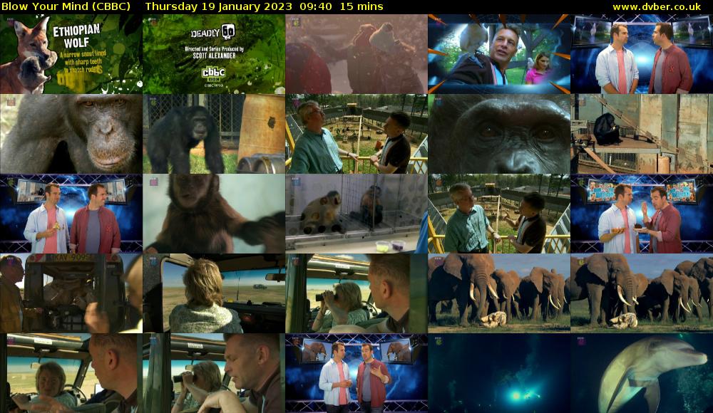 Blow Your Mind (CBBC) Thursday 19 January 2023 09:40 - 09:55