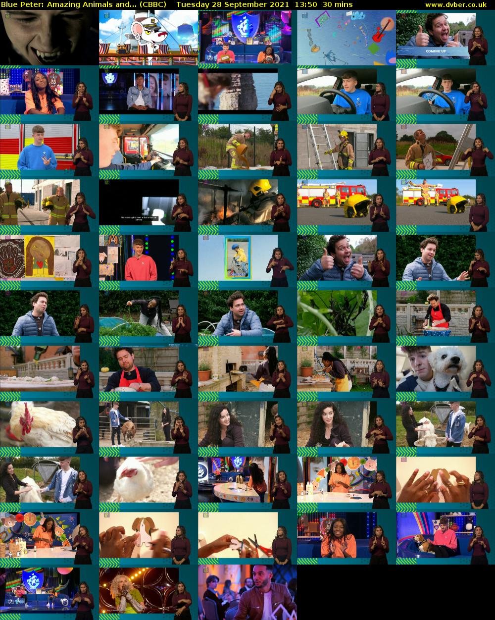 Blue Peter: Amazing Animals and... (CBBC) Tuesday 28 September 2021 13:50 - 14:20