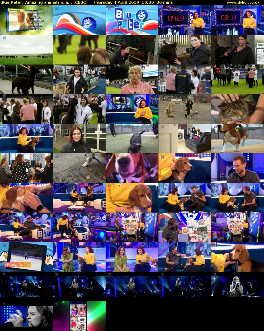 Blue Peter: Amazing animals & a... (CBBC) Thursday 4 April 2019 19:30 - 20:00