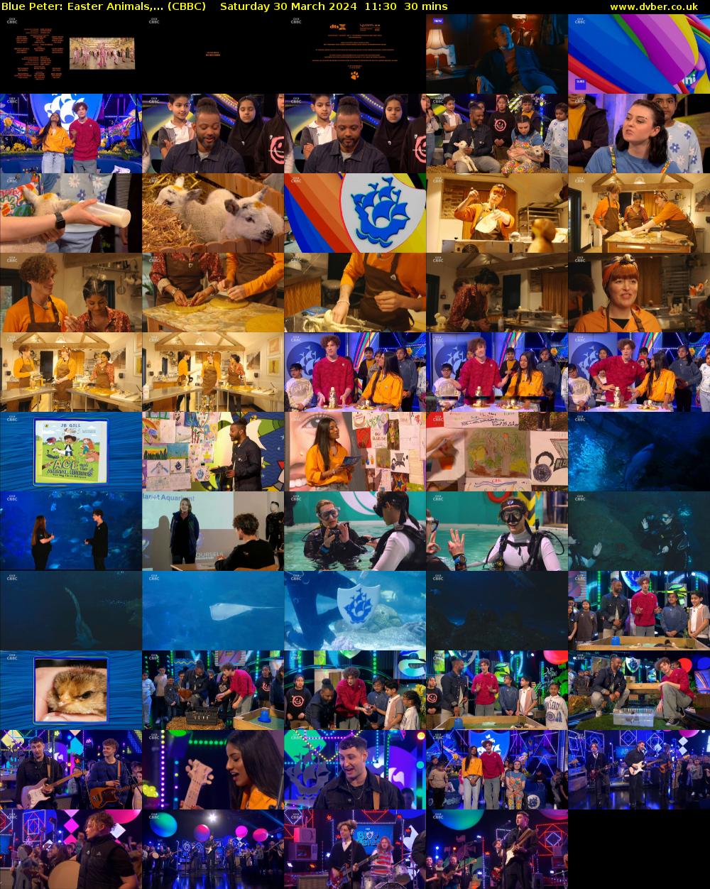 Blue Peter: Easter Animals,... (CBBC) Saturday 30 March 2024 11:30 - 12:00
