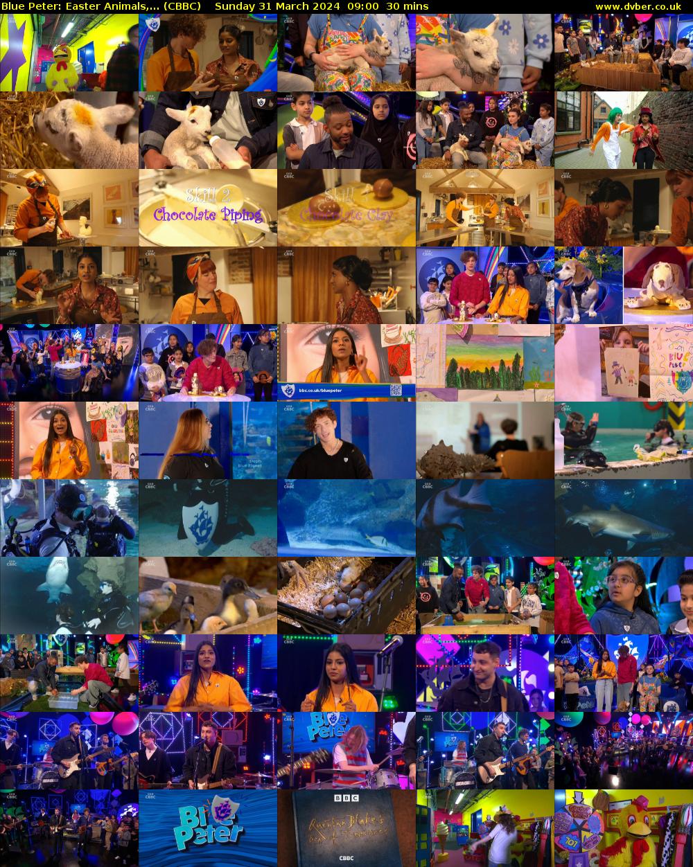 Blue Peter: Easter Animals,... (CBBC) Sunday 31 March 2024 09:00 - 09:30