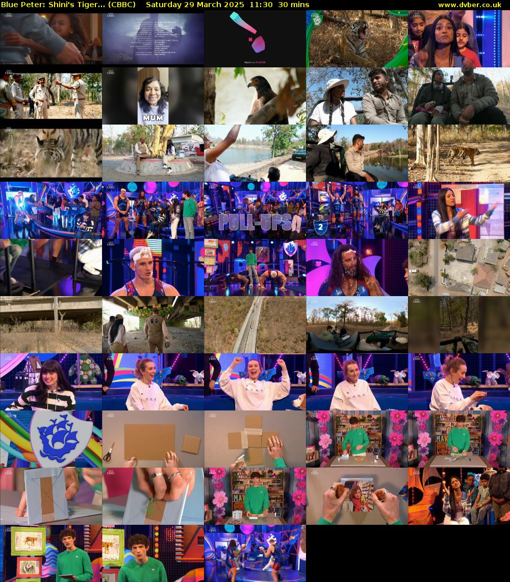 Blue Peter: Shini's Tiger... (CBBC) Saturday 29 March 2025 11:30 - 12:00