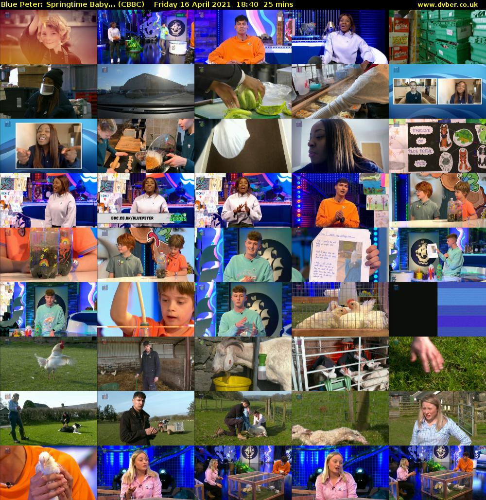 Blue Peter: Springtime Baby... (CBBC) Friday 16 April 2021 18:40 - 19:05