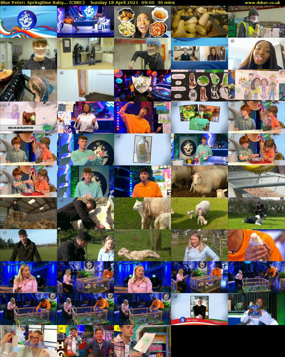 Blue Peter: Springtime Baby... (CBBC) Sunday 18 April 2021 09:00 - 09:30