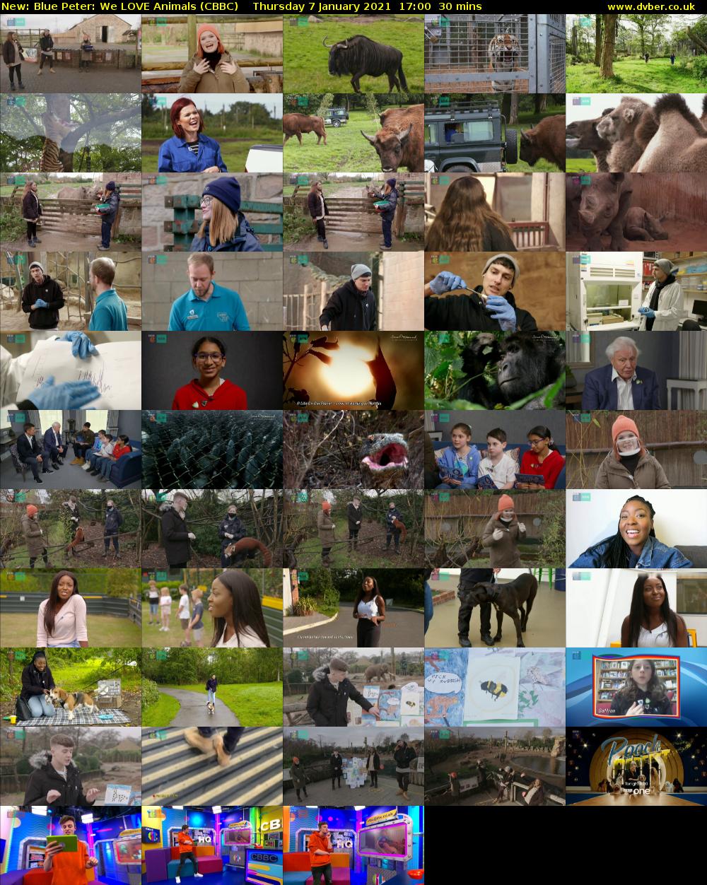 Blue Peter: We LOVE Animals (CBBC) Thursday 7 January 2021 17:00 - 17:30