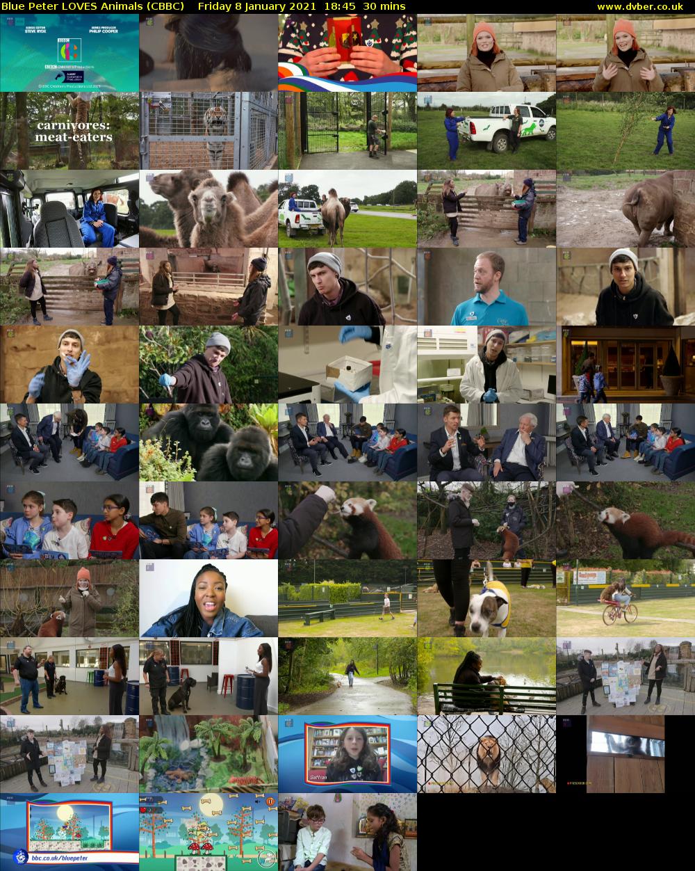 Blue Peter LOVES Animals (CBBC) Friday 8 January 2021 18:45 - 19:15