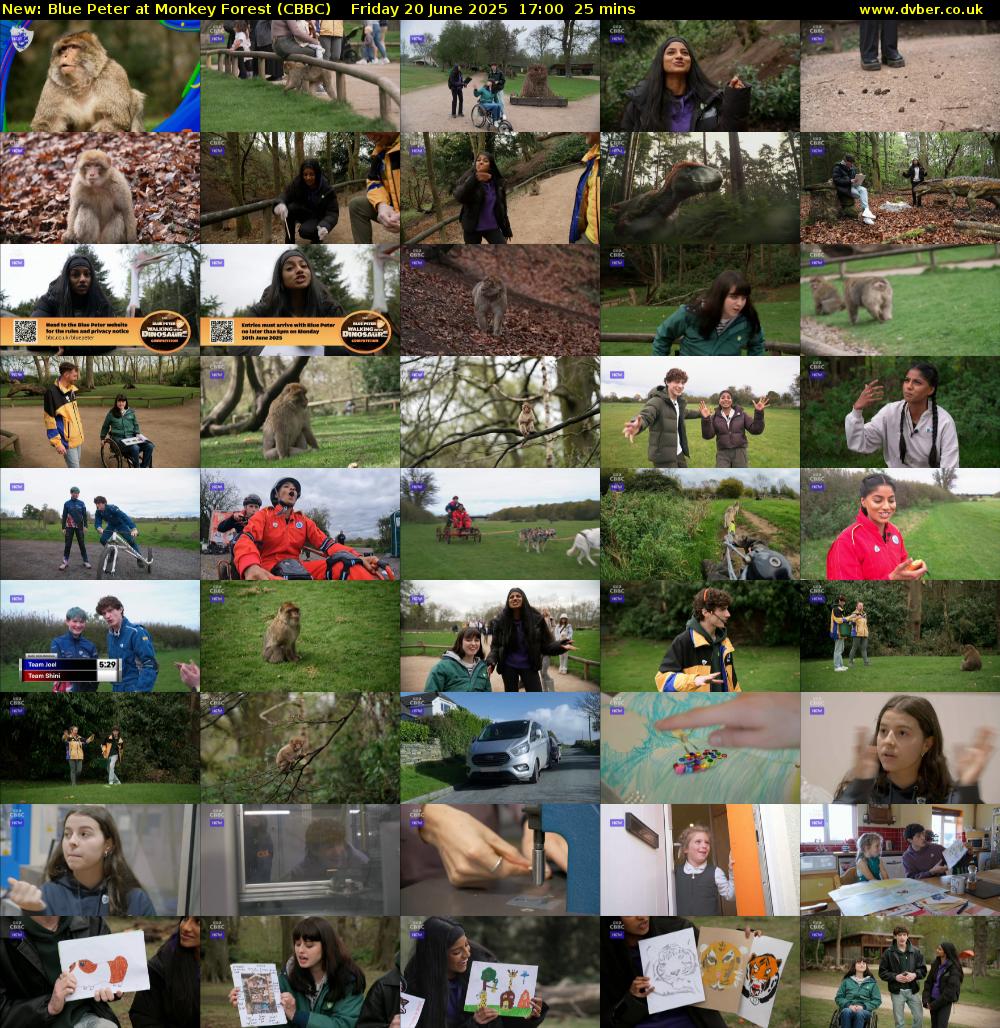 Blue Peter at Monkey Forest (CBBC) Friday 20 June 2025 17:00 - 17:25