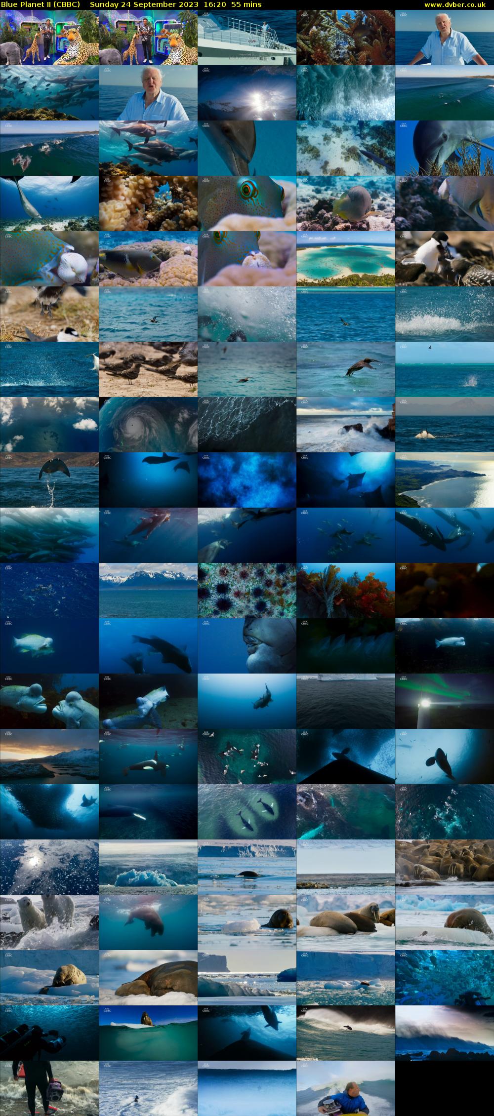 Blue Planet II (CBBC) Sunday 24 September 2023 16:20 - 17:15