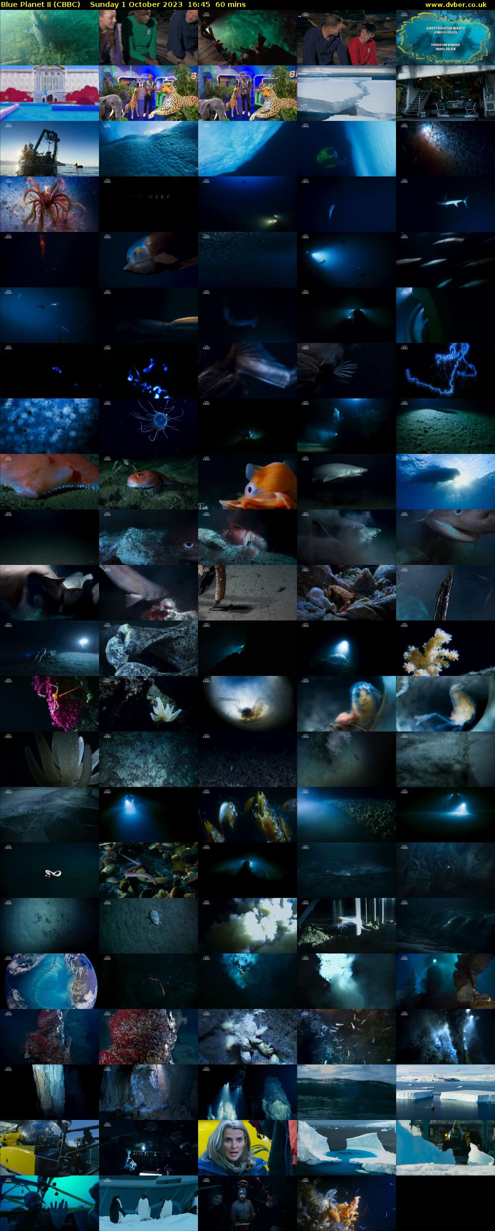Blue Planet II (CBBC) Sunday 1 October 2023 16:45 - 17:45