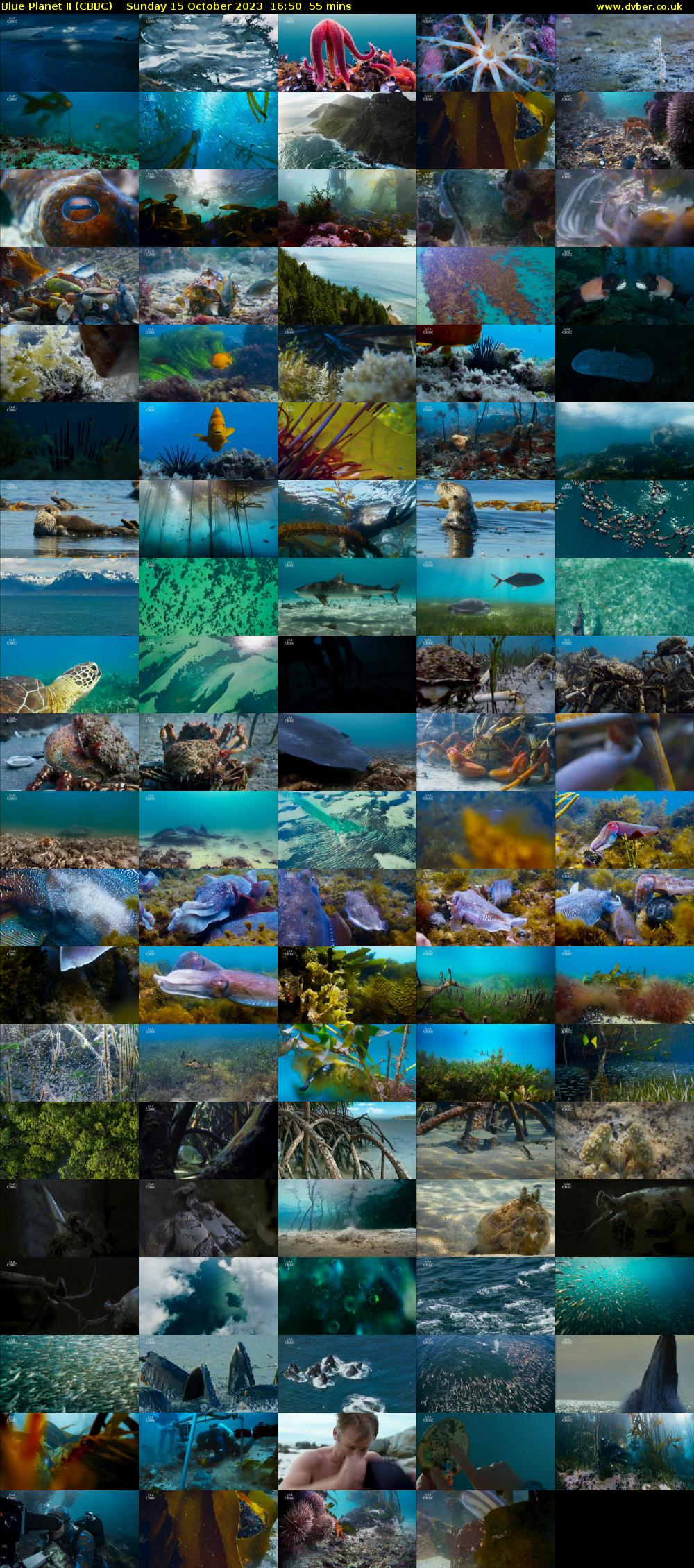 Blue Planet II (CBBC) Sunday 15 October 2023 16:50 - 17:45