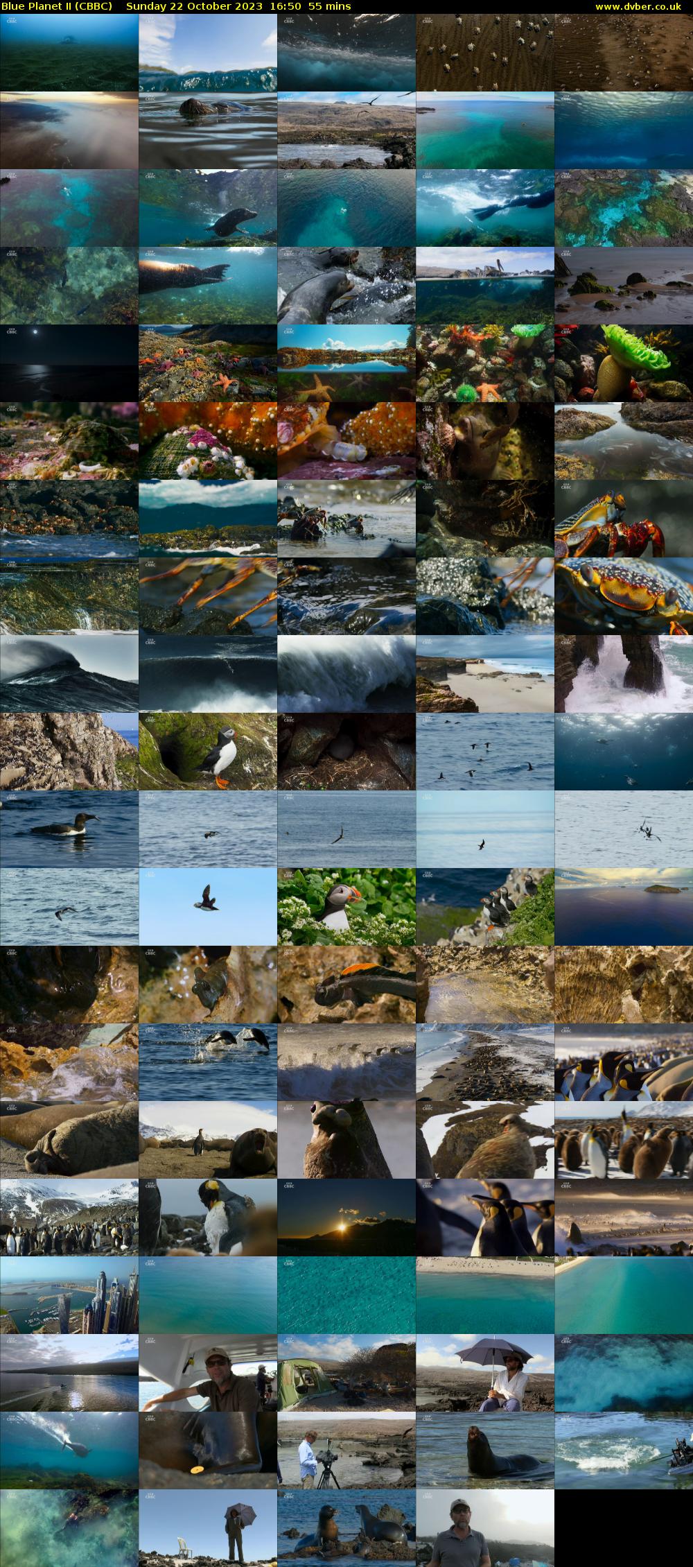 Blue Planet II (CBBC) Sunday 22 October 2023 16:50 - 17:45