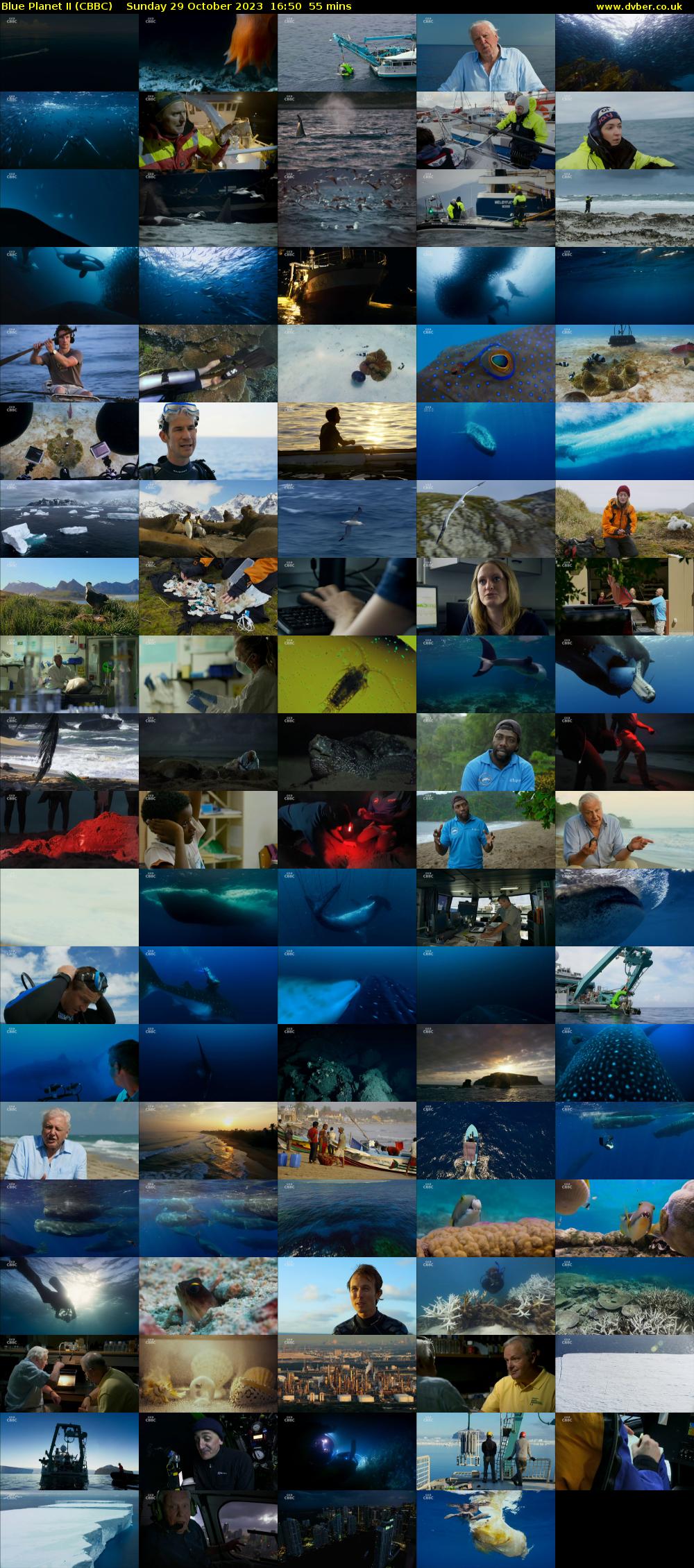 Blue Planet II (CBBC) Sunday 29 October 2023 16:50 - 17:45