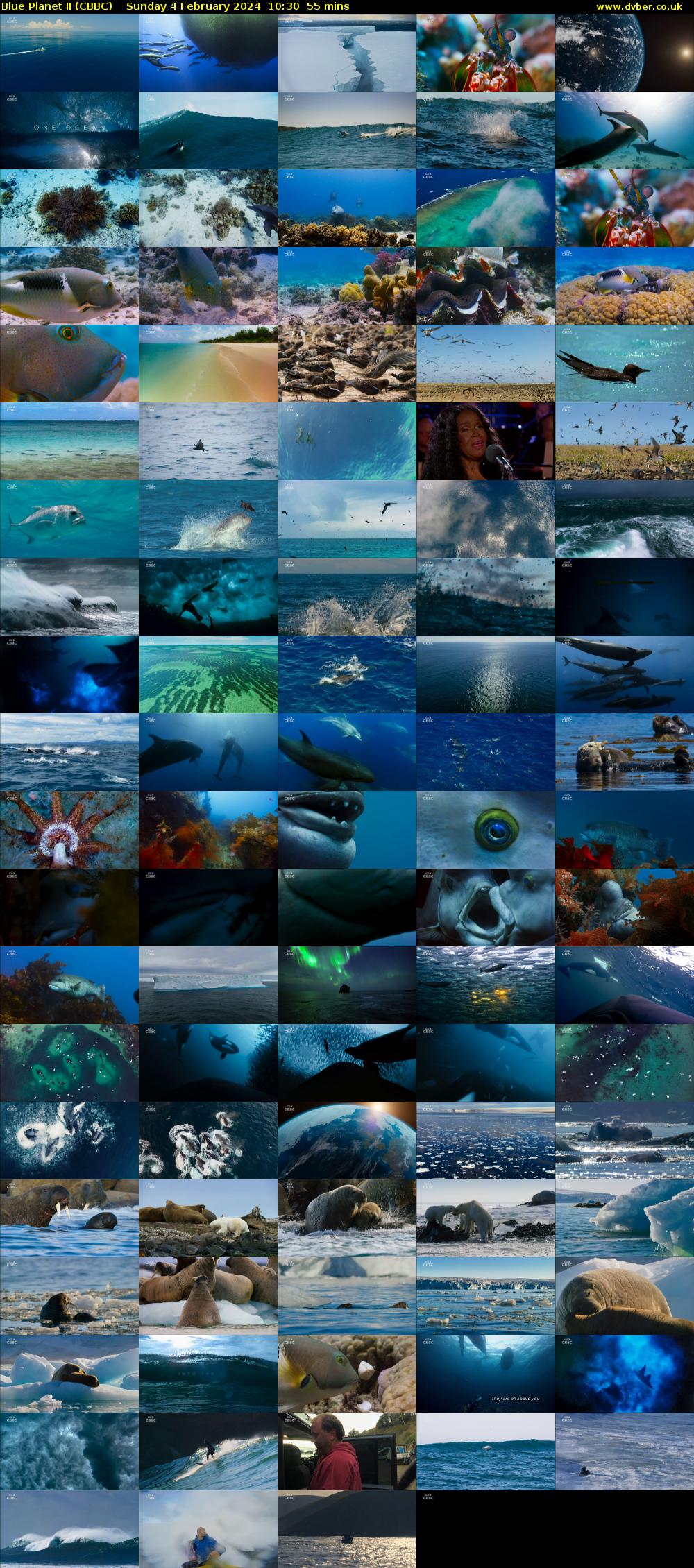 Blue Planet II (CBBC) Sunday 4 February 2024 10:30 - 11:25