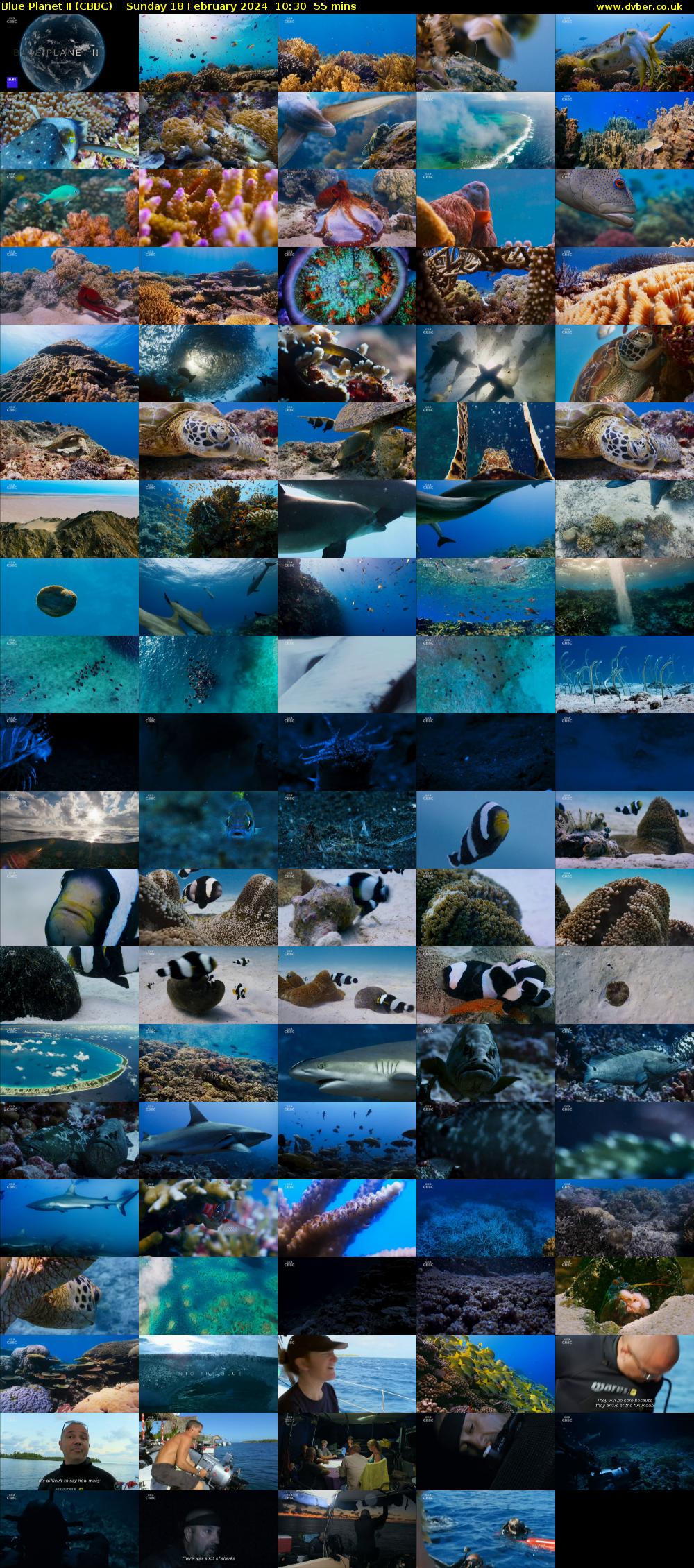 Blue Planet II (CBBC) Sunday 18 February 2024 10:30 - 11:25