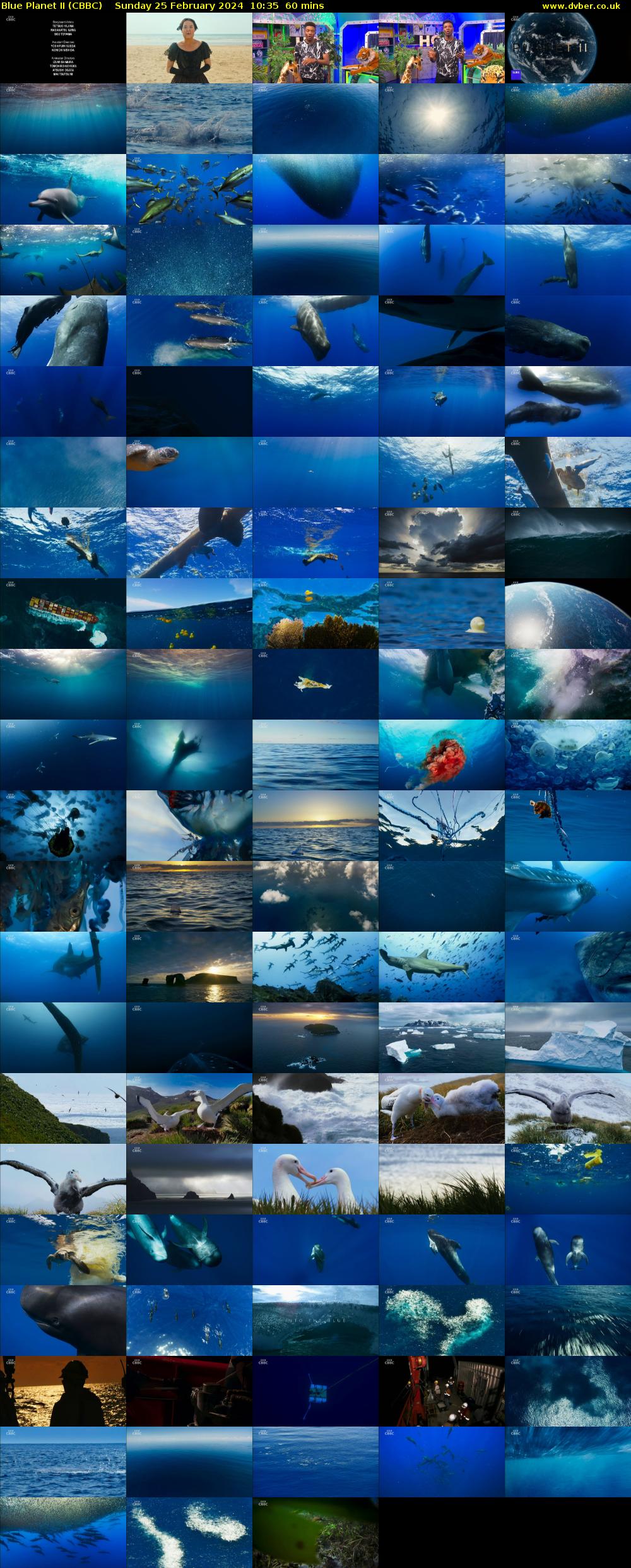 Blue Planet II (CBBC) Sunday 25 February 2024 10:35 - 11:35