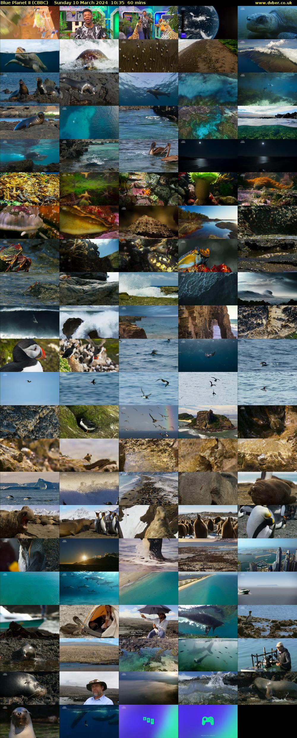 Blue Planet II (CBBC) Sunday 10 March 2024 10:35 - 11:35